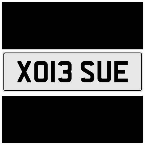 Xo13 sue - sue, susan