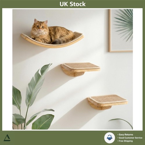 Wall mounted cat shelves - wall,