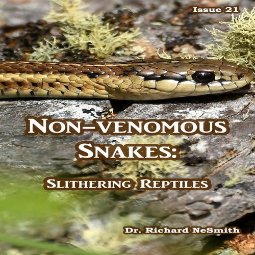 Non venomous snakes - snakes, slithering
