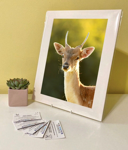 Art print image picture - art, photo