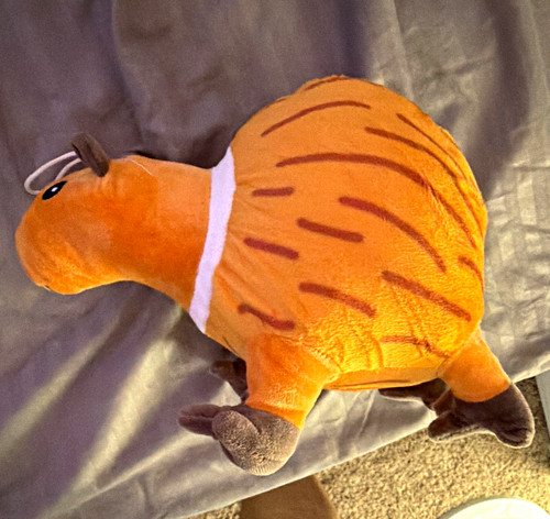 Guinea pig plush stuffed - guinea,