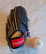 Baseball Catcher Mitt and Ball