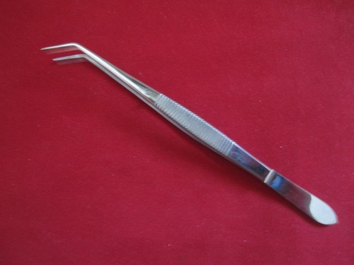 Equine dental tweezers - dental, forceps
