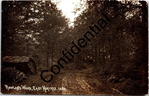 Rowland wood east hoathly - east,