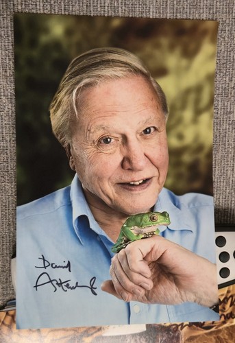 Sir david attenborough - sir,
