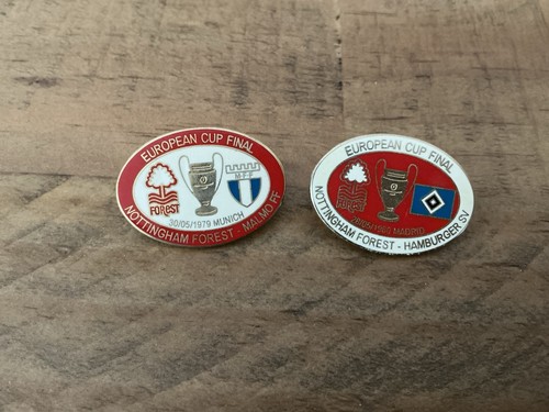 Nottingham forest pin - nottingham,