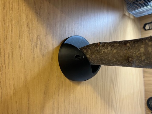 Reptile perch mount - reptile,