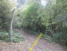 Photo 6x4 Whalebone Arc