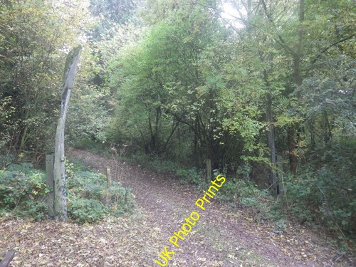 Photo 6x4 whalebone - photo,