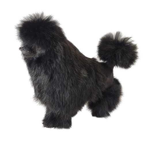 Vintage black poodle - vintage,