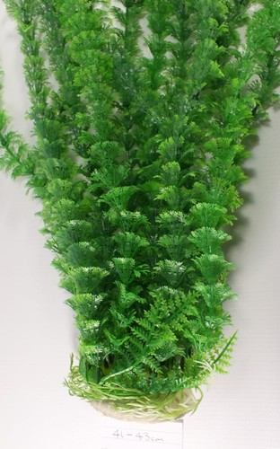 Aquariumh2o green bushy - aquariumh2o,