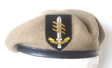 18 SIGNAL REGIMENT SAS OFFICER