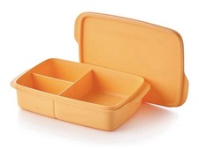 Tupperware Lunch-It Portion &