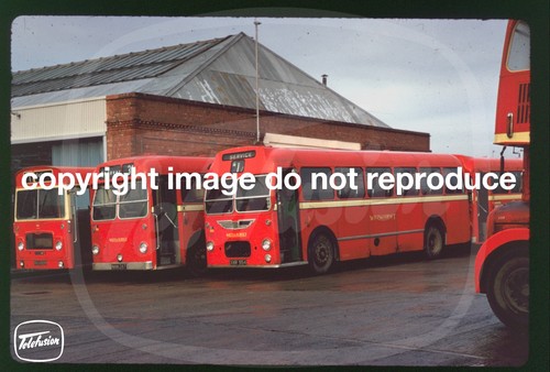 Original bus slide wilts - bus,