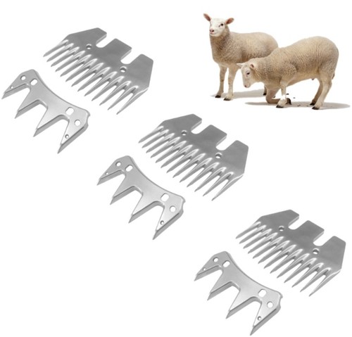 Yaziyir sheep grooming - sheep,