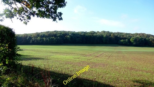 Photo 6x4 field - field, upper