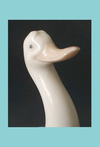 Cute porcelain duck nao - cute,