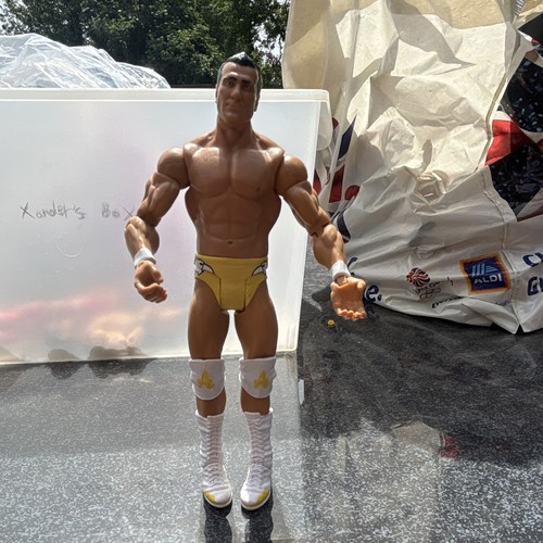 Wrestling action figure - wrestling,