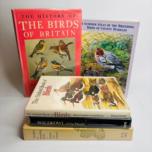 Lot bird books - 5,