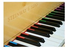 Learn to Play Keyboard Adults Kids Beginners My First Music Book for Starters