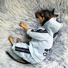 Adidog Dog Tracksuit Pet