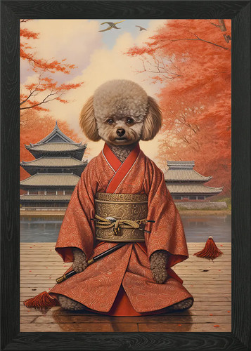 Toy poodle the - poodle,