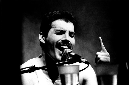 Freddie mercury singing - mercury,