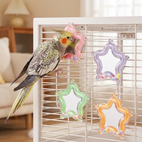 Acrylic bird mirror - bird, with