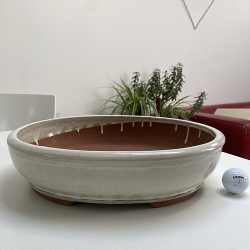 Large bonsai pot cream colour - large,