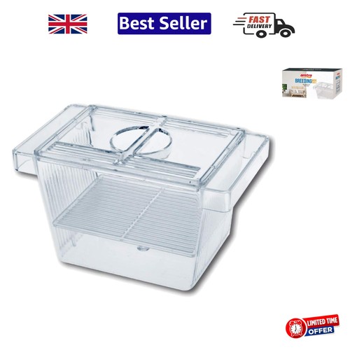 Classic white fish - classic,
