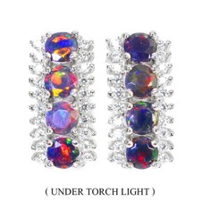 925 Sterling Silver Earrings