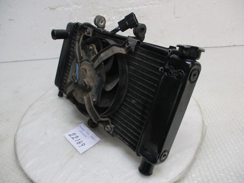 Yamaha fz6 fazer 2005 radiator - 2005,