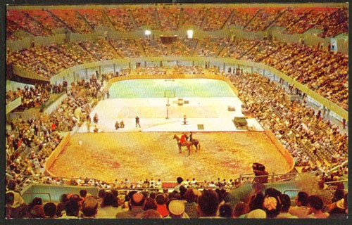 Equestrian show memorial - equestrian,