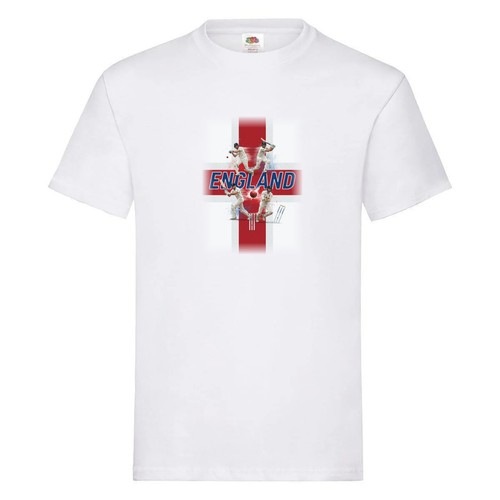 England cricket shirt - england,
