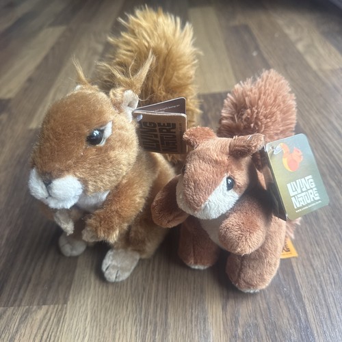 Living nature red squirrel - red,