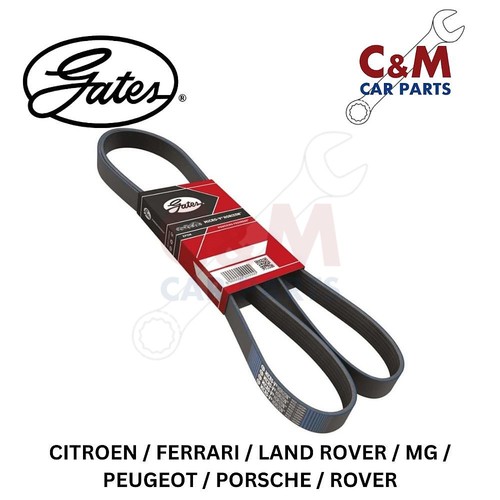 Alternator drive belt fits - alternator,