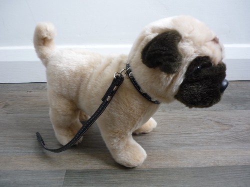Keel signature puppies - signature,