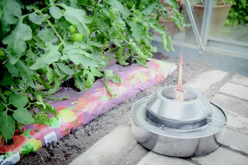 Apollo greenhouse cold - cold, frame