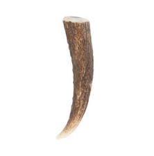 Real Stag Horn Walnut Scottish