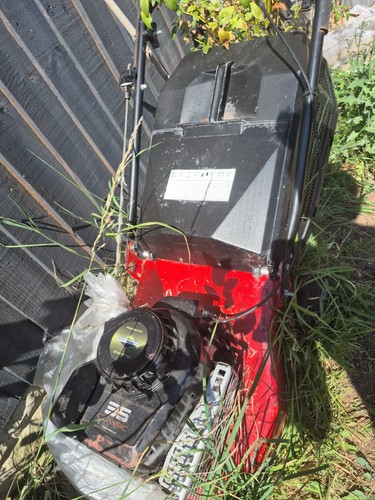 Lawn mower - lawn,