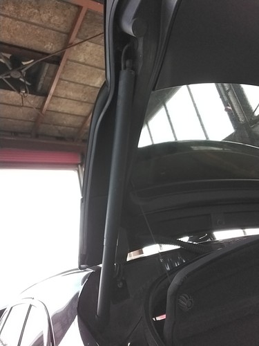 Boot tailgate support strut - tailgate,