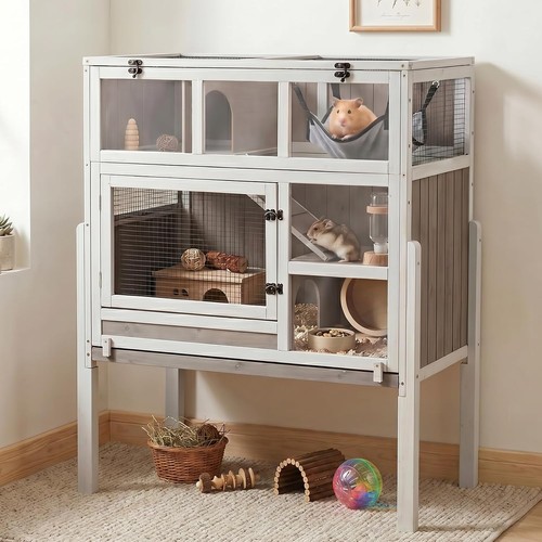 Petscosset large guinea - petscosset, pig