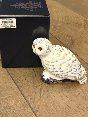 Royal crown derby snowy owl - royal,