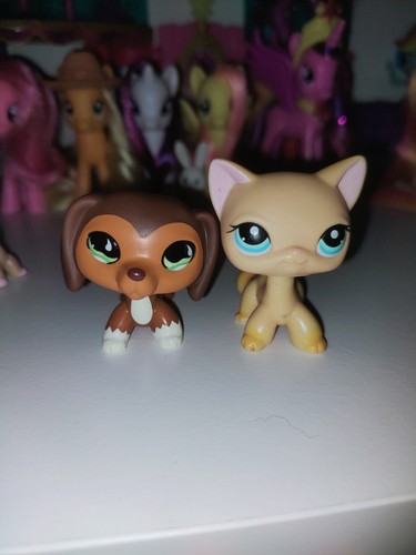 Not auth littlest pet - pet, lps