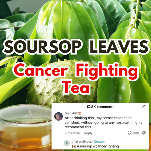 Soursop leaves tea bags annona - soursop,