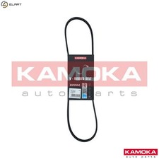 VRIBBED BELT 7014031 FOR