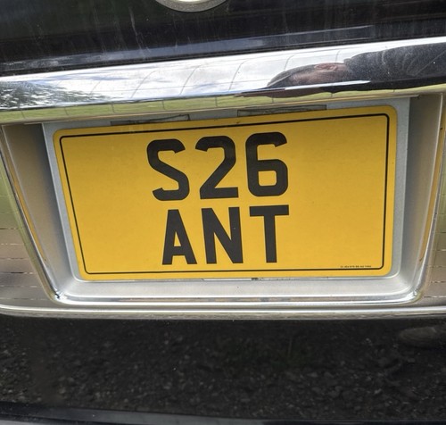 Ant anthony antony - ⭐️ant⭐️anthony,