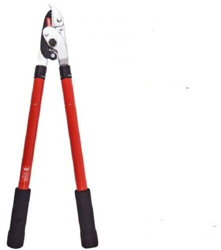 Telescopic anvil loppers - telescopic,