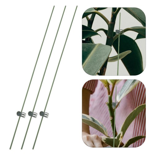 Pcs orchid flower support - 10,