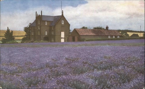 Vintage caley mill heacham - mill,